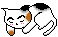 An eepy kitty